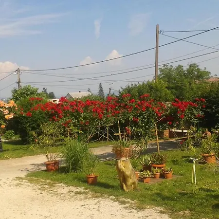 Vakacio Ueduelo 3* Ревфюлёп