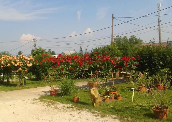 Vakáció üdülő 3* Révfülöp